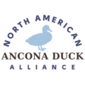 North American Ancona Duck Alliance